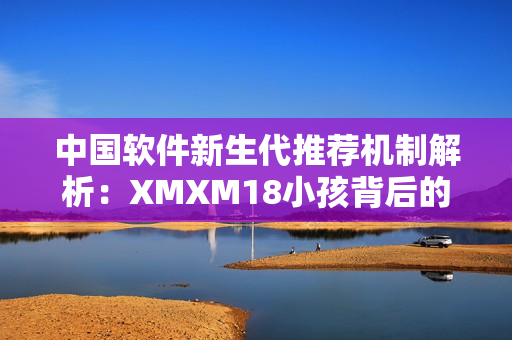 中国软件新生代推荐机制解析：XMXM18小孩背后的故事