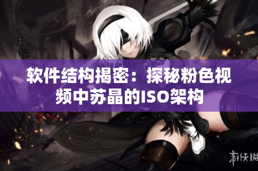软件结构揭密：探秘粉色视频中苏晶的ISO架构
