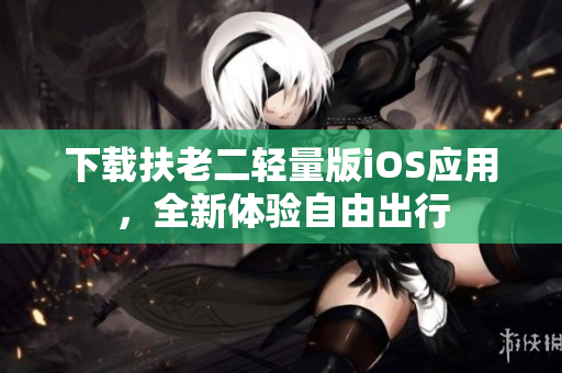 下载扶老二轻量版iOS应用，全新体验自由出行