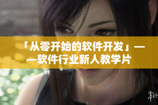 「从零开始的软件开发」——软件行业新人教学片