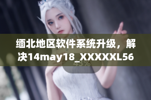 缅北地区软件系统升级，解决14may18_XXXXXL56endian问题