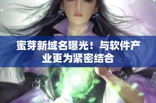 蜜芽新域名曝光！与软件产业更为紧密结合