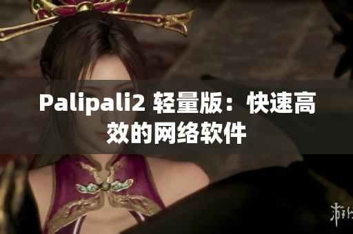Palipali2 轻量版：快速高效的网络软件