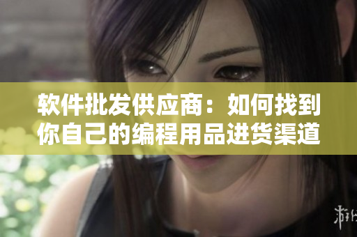 软件批发供应商：如何找到你自己的编程用品进货渠道？