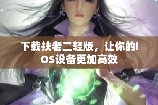 下载扶老二轻版，让你的iOS设备更加高效