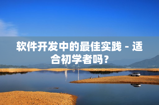 软件开发中的最佳实践 - 适合初学者吗？