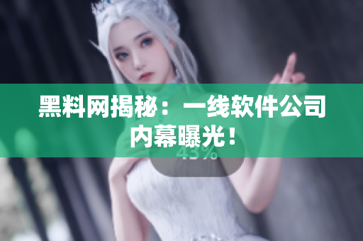 黑料网揭秘：一线软件公司内幕曝光！