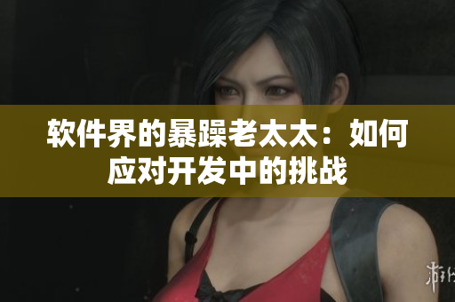 软件界的暴躁老太太：如何应对开发中的挑战